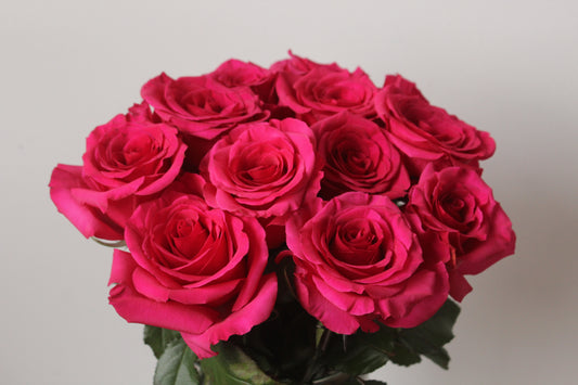 MAGENTA