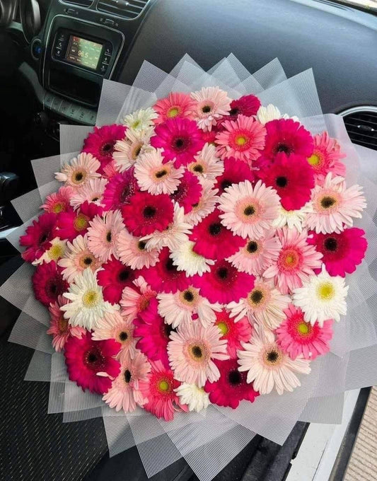 CARICIA DE PRIMAVERA